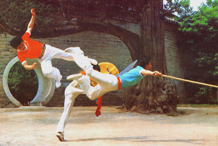Demonstration de wushu